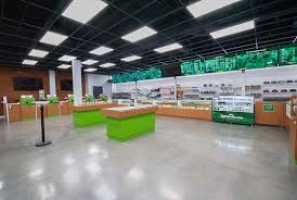 Green Haven: A Look Inside Thornton’s Premier Dispensaries post thumbnail image