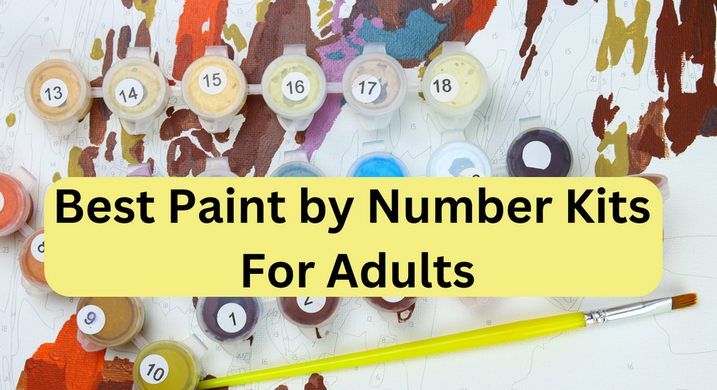 Paint by Numbers for Adults: A Creative Escape post thumbnail image
