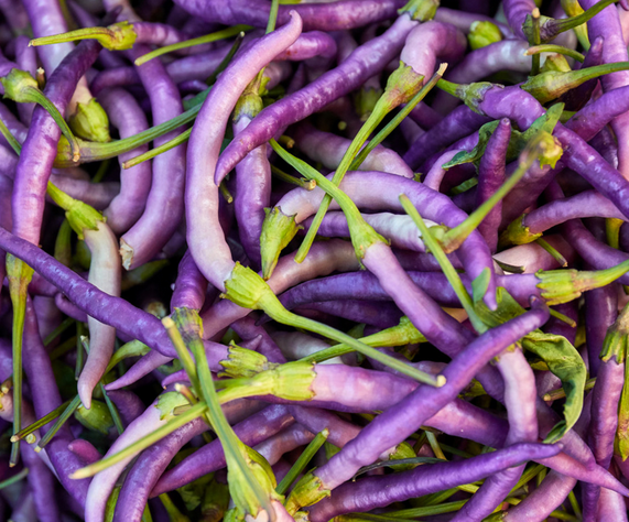 Heat and Beauty Combined: The Elegance of Purple Cayenne Peppers post thumbnail image