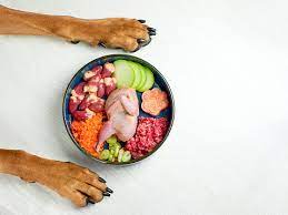 From Bowl to Bark: The Basics of a Raw Dog Food Lifestyle post thumbnail image